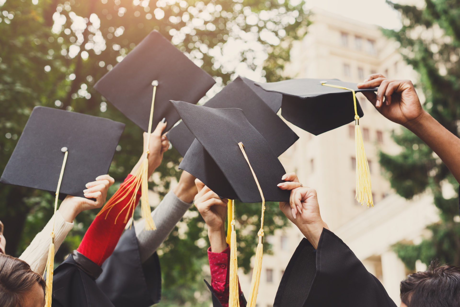 Group of graduates holding up their graduation caps