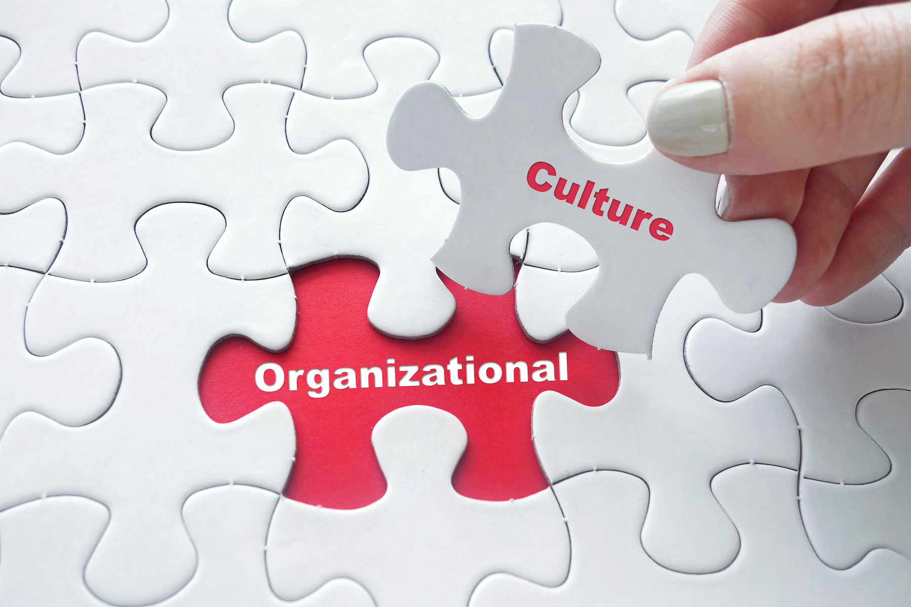 The word "culture" as the missing piece to a puzzle, fitting with the word "organizational"