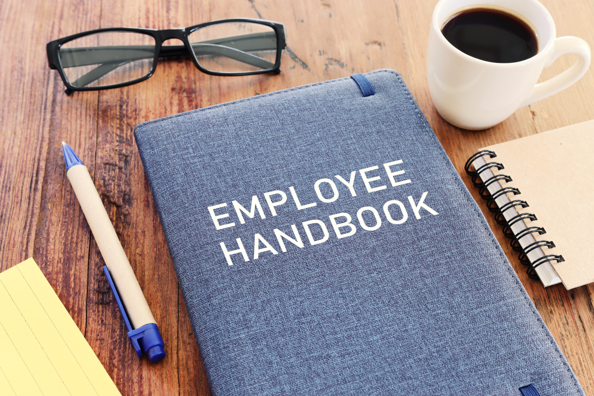 Employee Handbook What to Include & How to Write One