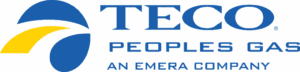 TECO logo