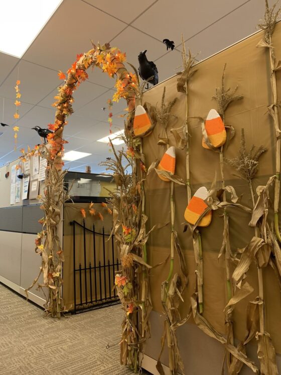Office cubicle decorated for fall with a harvest theme, featuring dried corn stalks, large candy corn decorations, orange leaf garland forming an archway, and black crow props perched on top, creating a festive Thanksgiving atmosphere.