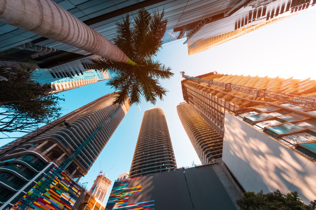 Upward view of modern high-rise condominium towers under construction in Miami, framed by a tall palm tree, construction cranes, and a colorful geometric mural against a bright blue sky.